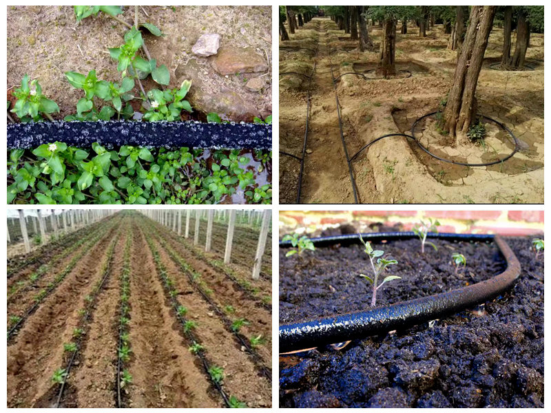 Ống ngâm cao su dùng để tưới như thế nào?